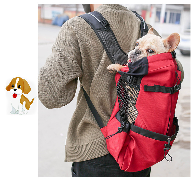 Red Color Pet Dog Carrier Backpack